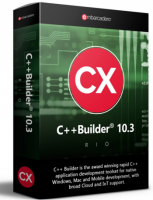 C++Builder Professional Concurrent License