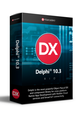 Delphi Professional Network Named License